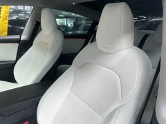 Tesla Model 3 Rear-Wheel Drive - ფოტო 10