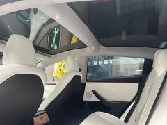 Tesla Model 3 Rear-Wheel Drive - ფოტო 13