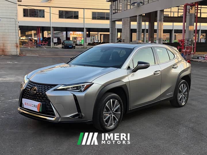 Lexus UX New Energy 2020 300e Pure Joy Edition - car from China