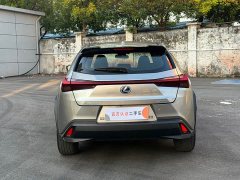 Lexus UX New Energy 2020 300e Pure Joy Edition - photo 11