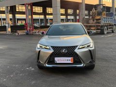 Lexus UX New Energy 2020 300e Pure Joy Edition - photo 2