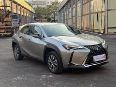 Lexus UX New Energy 2020 300e Pure Joy Edition - photo 3