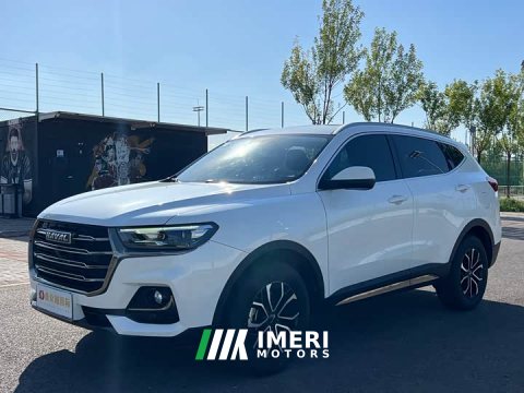 2023 Haval H6 2021 National Trend Edition 1.5T Automatic Urban Version - ავტომობილი ჩინეთიდან