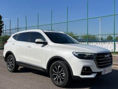Haval H6 2021 National Trend Edition 1.5T Automatic Urban Version - ფოტო 3