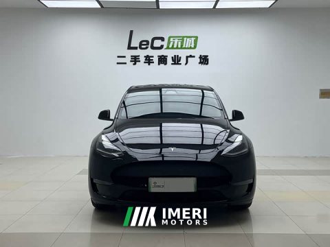 2021 Tesla Model Y Standard Range RWD - ავტომობილი ჩინეთიდან