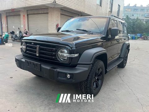 2021 Tank 300 Off-Road Edition 2.0T Challenger - ავტომობილი ჩინეთიდან