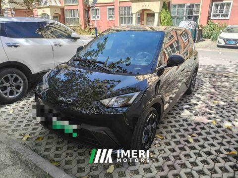 2024 BYD Seagull Glory Edition 405km Flying Edition - ავტომობილი ჩინეთიდან