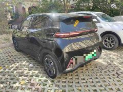 BYD Seagull Glory Edition 405km Flying Edition - ფოტო 4