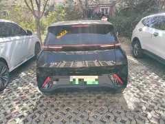 BYD Seagull Glory Edition 405km Flying Edition - ფოტო 5