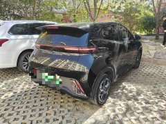 BYD Seagull Glory Edition 405km Flying Edition - ფოტო 6