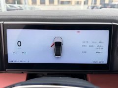 NIO EC6 100kWh Performance - ფოტო 12
