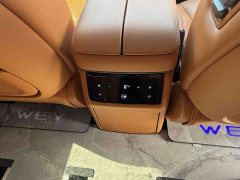 Great Wall WEY Shanshan New Energy Four-Wheel Drive Shanshan 8 - ფოტო 7