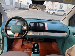 Changan Lumin 2022 210km Sweet Edition - ფოტო 8