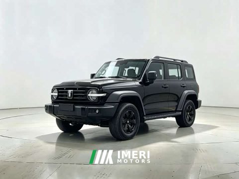 2024 Tank 300 2.0T Conqueror - ავტომობილი ჩინეთიდან