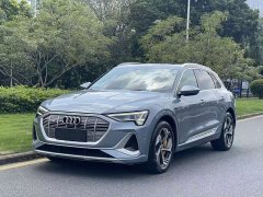 Audi e-tron 2021 50 quattro Premium - ფოტო 1