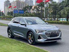 Audi e-tron 2021 50 quattro Premium - ფოტო 3