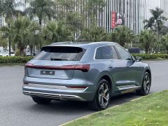 Audi e-tron 2021 50 quattro Premium - ფოტო 6