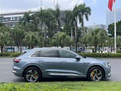 Audi e-tron 2021 50 quattro Premium - ფოტო 7