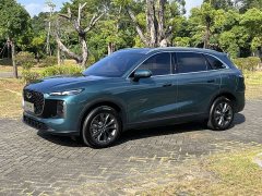 Chery Tiggo 8 Fifth Generation Leopard Edition 1.6T Turbocharged Automatic Luxury - ფოტო 1