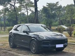 Porsche Cayenne 3.0T Platinum Edition - ფოტო 3