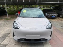 Geely Star Wish 480km Explorer Edition - ფოტო 1