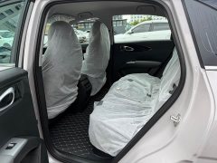 Geely Star Wish 480km Explorer Edition - ფოტო 8
