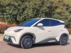 BYD Seagull 2024 Glory Edition 305km Vitality Version - ფოტო 1
