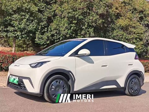 2025 BYD Seagull 2024 Glory Edition 305km Vitality Version - ავტომობილი ჩინეთიდან