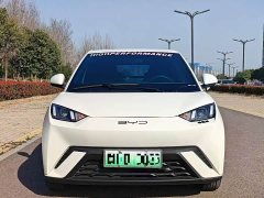 BYD Seagull 2024 Glory Edition 305km Vitality Version - ფოტო 2