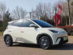 BYD Seagull 2024 Glory Edition 305km Vitality Version - ფოტო 3