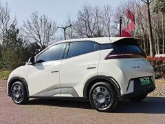BYD Seagull 2024 Glory Edition 305km Vitality Version - ფოტო 7
