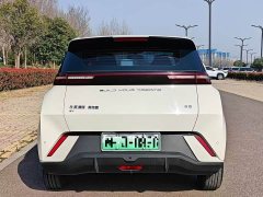 BYD Seagull 2024 Glory Edition 305km Vitality Version - ფოტო 8