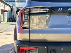 Great Wall Dachshund 2.0T DCT Four-Wheel Drive Howling Celestial Dog Edition - ფოტო 14