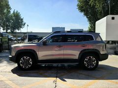 Great Wall Dachshund 2.0T DCT Four-Wheel Drive Howling Celestial Dog Edition - ფოტო 3