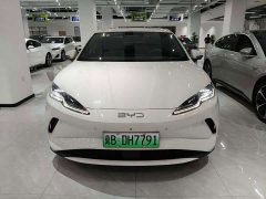 BYD Seal 06 EV 545KM Premier - ფოტო 3