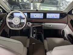 Voyah Lantu FREE 2021 Four-Wheel Drive Standard Extended Range Exclusive Luxury Package - ფოტო 9