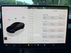 Tesla Model 3 2023 Rear-Wheel Drive - ფოტო 15