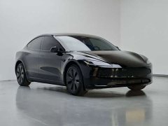 Tesla Model 3 2023 Rear-Wheel Drive - ფოტო 3