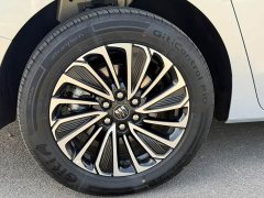 Buick GL8 New Energy Lusang Respect Edition - photo 14