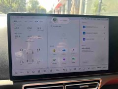 Li Auto L7 Max - ფოტო 11