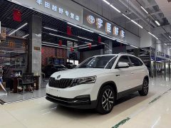 Skoda Comic 1.5L Automatic Comfort Edition - photo 1
