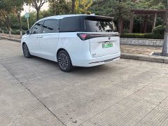 Buick GL8 New Energy Lusang Respect Edition - фото 4