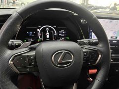 Lexus RX 500h AWD F SPORT Performance - ფოტო 16