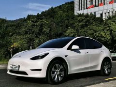Tesla Model Y Rear-Wheel Drive - photo 1