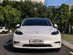 Tesla Model Y Rear-Wheel Drive - photo 2