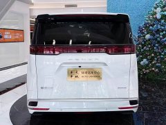 Denza BYD Denza D9 DM-i 980 AWD Luxury - ფოტო 18