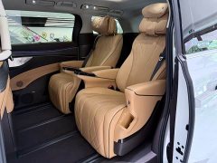 Denza BYD Denza D9 DM-i 980 AWD Luxury - ფოტო 8