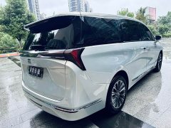 Buick GL8 2025 Luzun Respect Edition - ფოტო 5