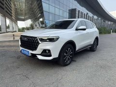 Haval H6 National Trend Edition 1.5T Automatic Urban Version - ფოტო 1