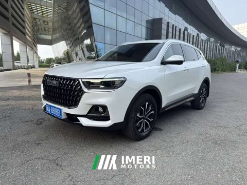 2023 Haval H6 National Trend Edition 1.5T Automatic Urban Version - ავტომობილი ჩინეთიდან